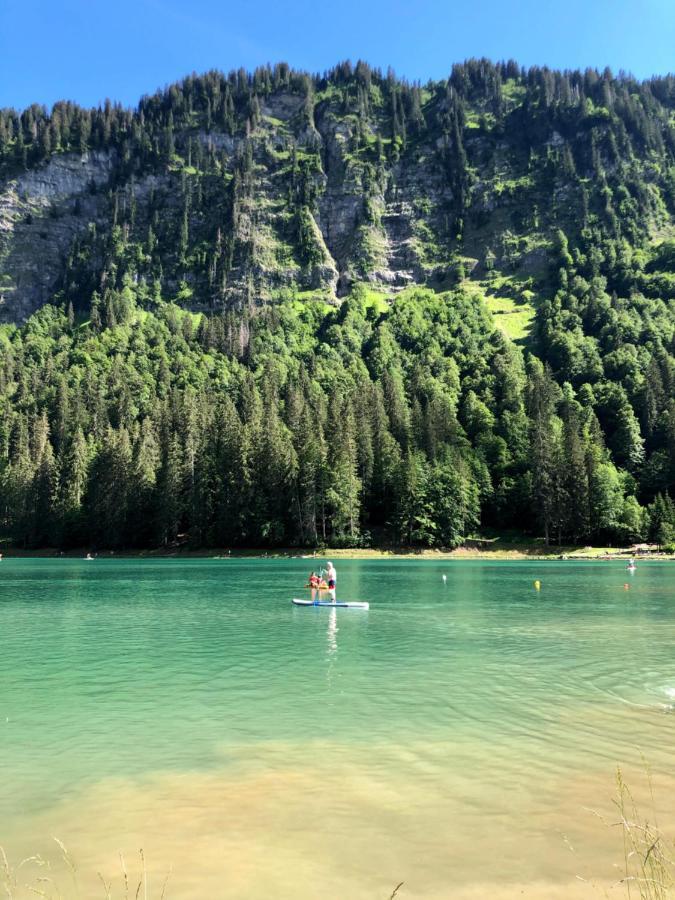 'Petite Ferme Les Bouts' Apartment, Sleeps 6, Nr Morzine La Cote d'Arbroz Екстер'єр фото